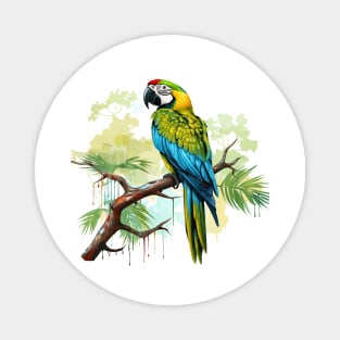 Military Macaw Magnet